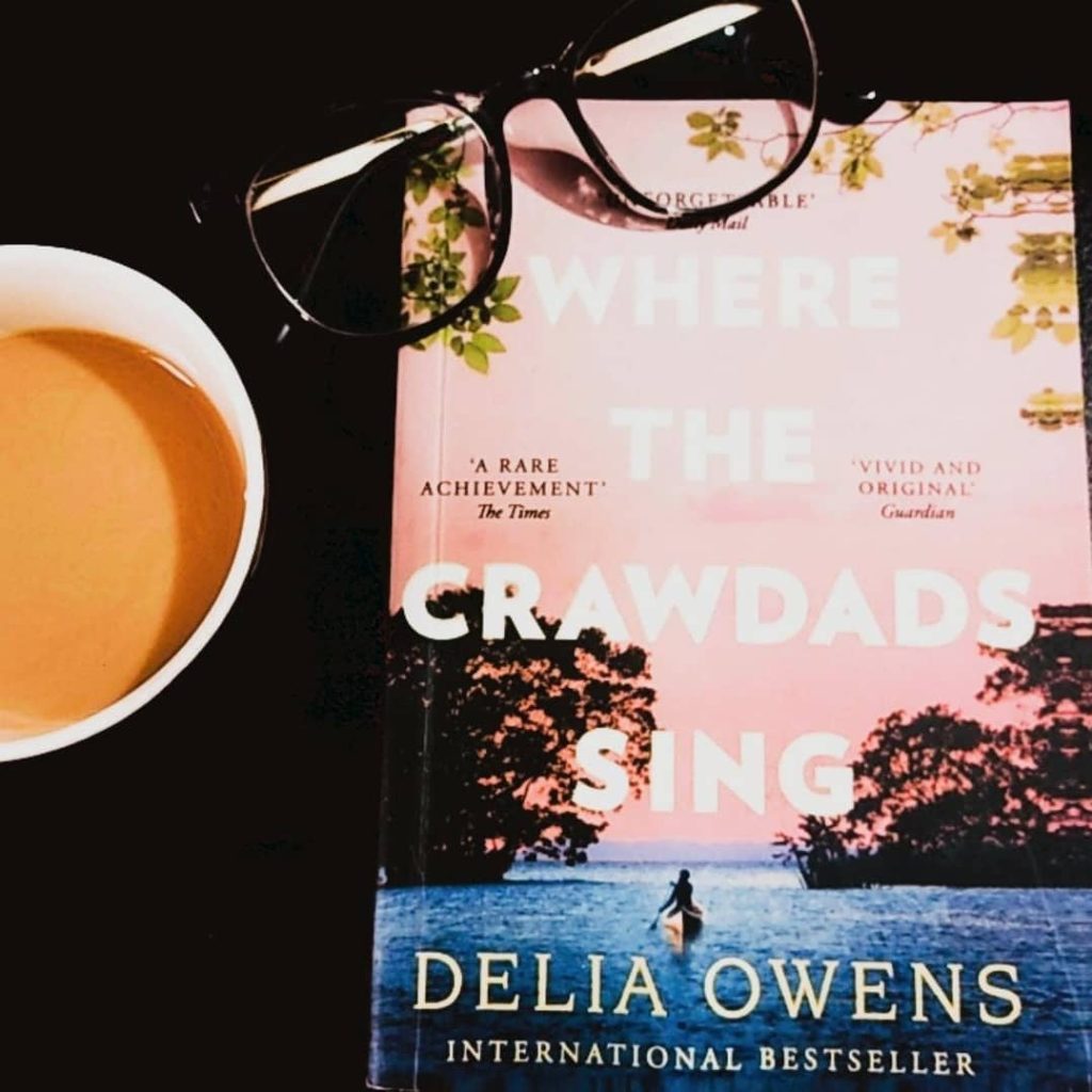 MedSchool Journey book review of the crawdads sing